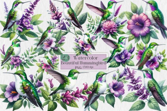 Beautiful Hummingbird Watercolor Clipart
